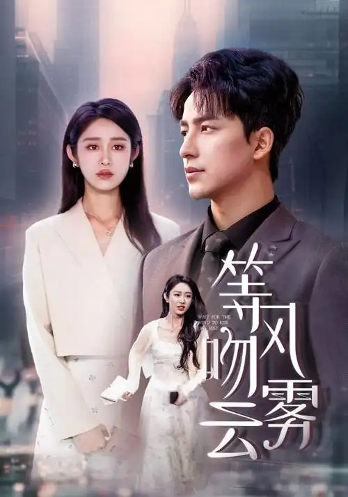 云上归途 热播电视剧全集手机免费在线观看